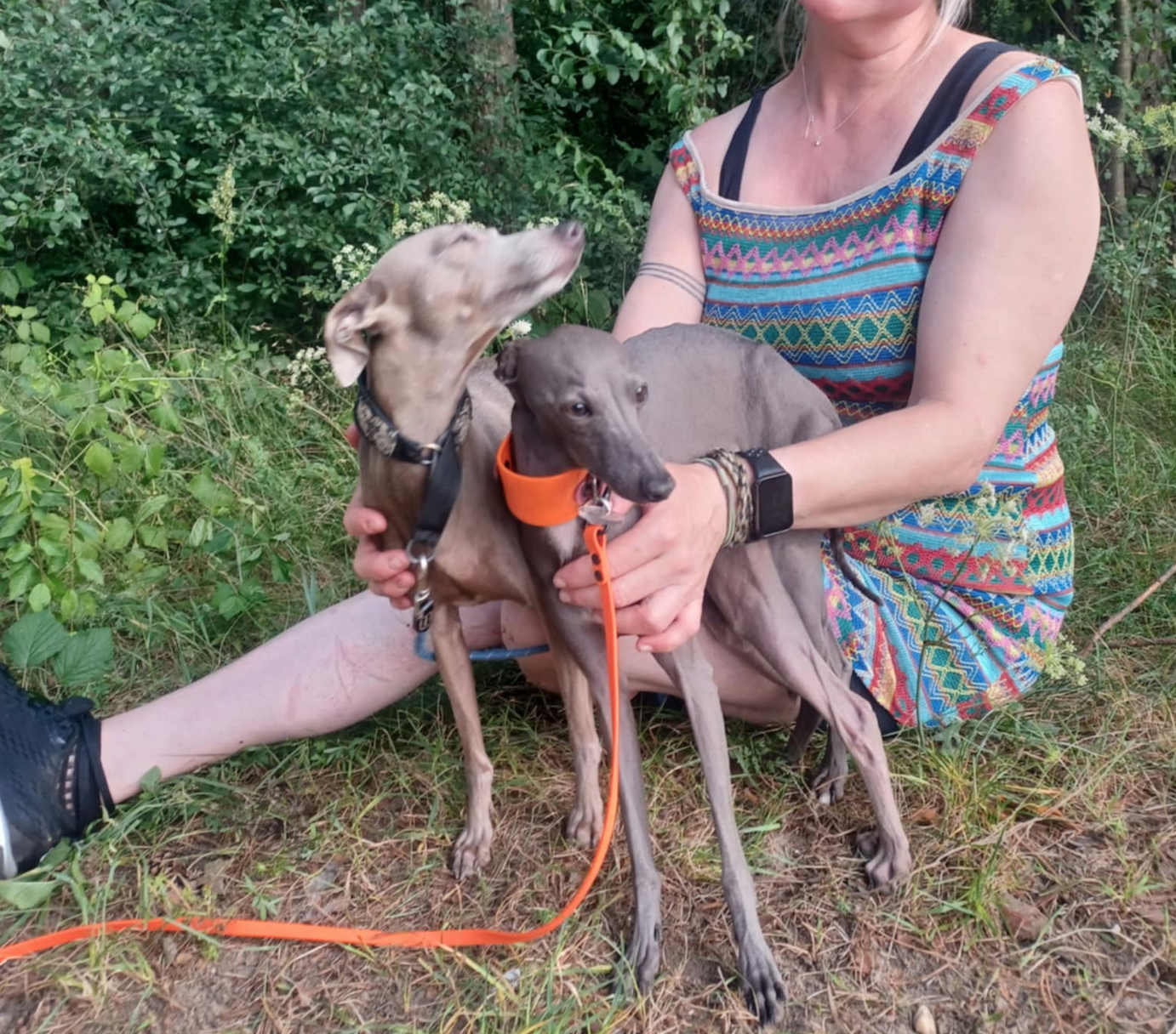 Zrzut ekranu 2026-01-27 o 19.12.50