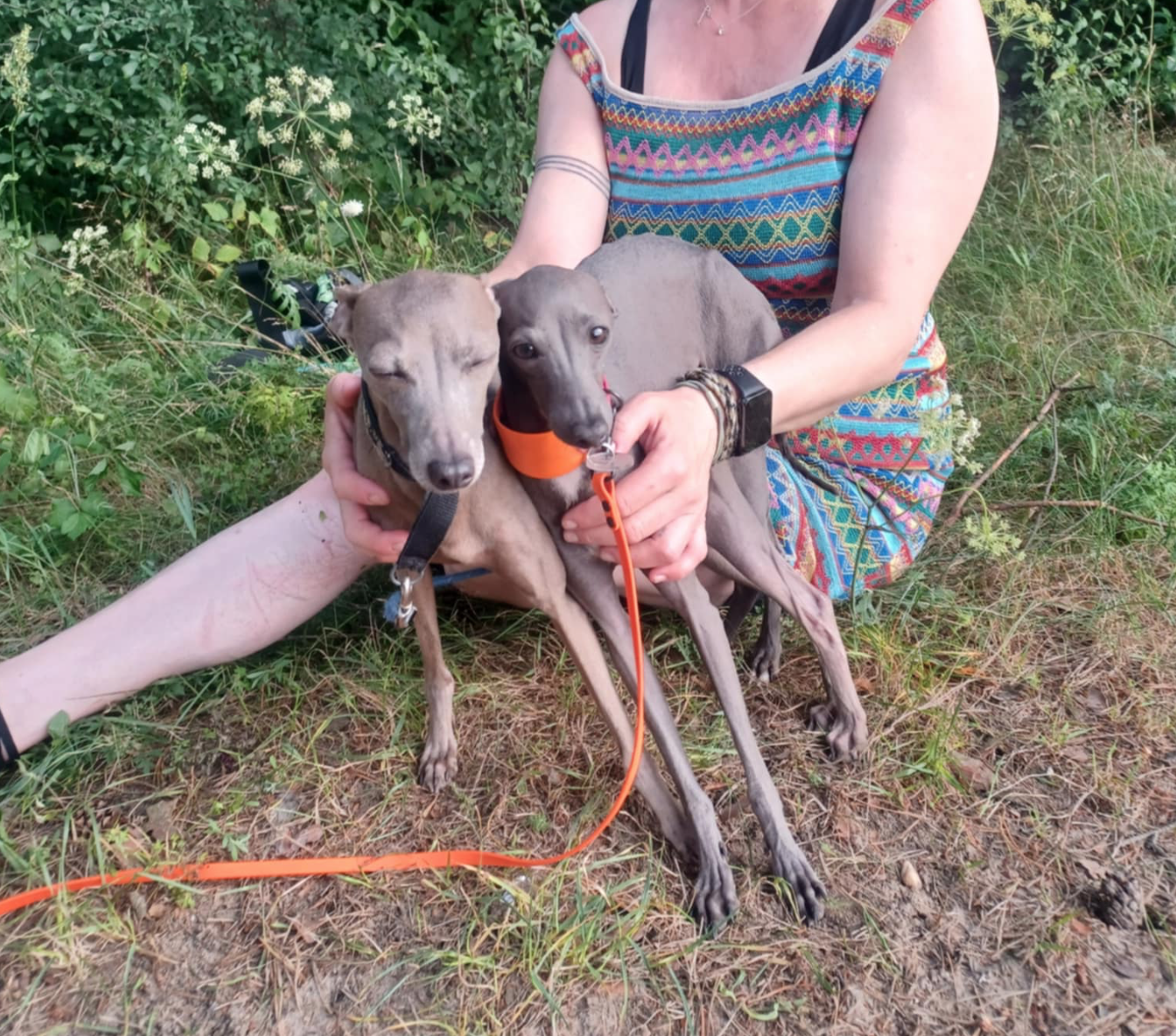 Zrzut ekranu 2026-01-27 o 19.13.08