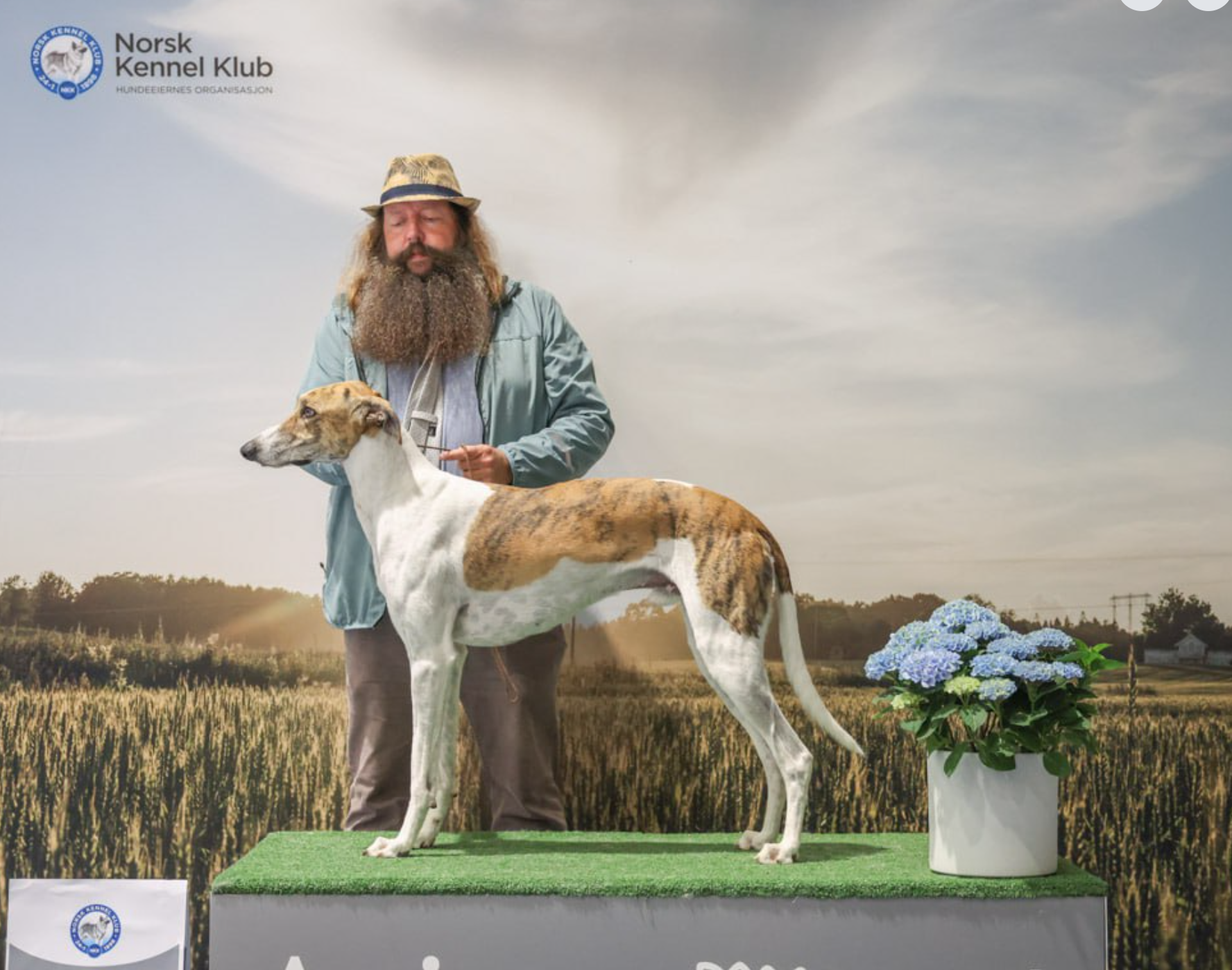 Zrzut ekranu 2026-01-27 o 19.33.08