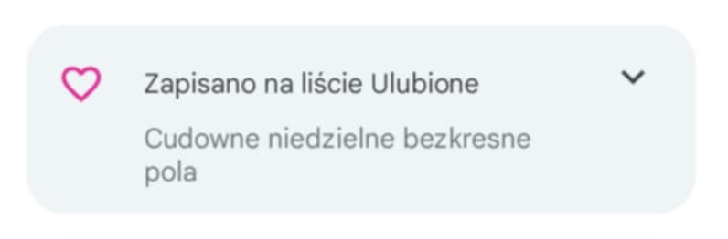 Zrzut ekranu 2026-02-20 o 17.31.50