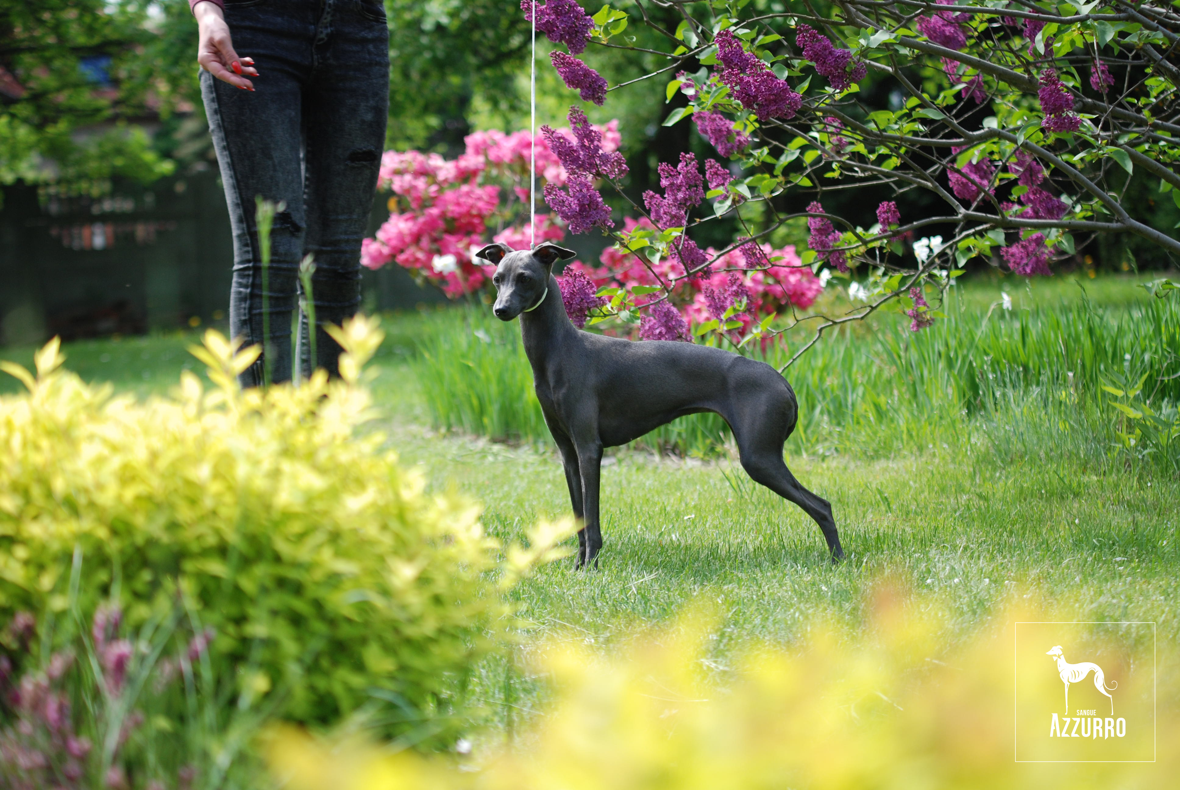 Cromosoma_13 maj2022