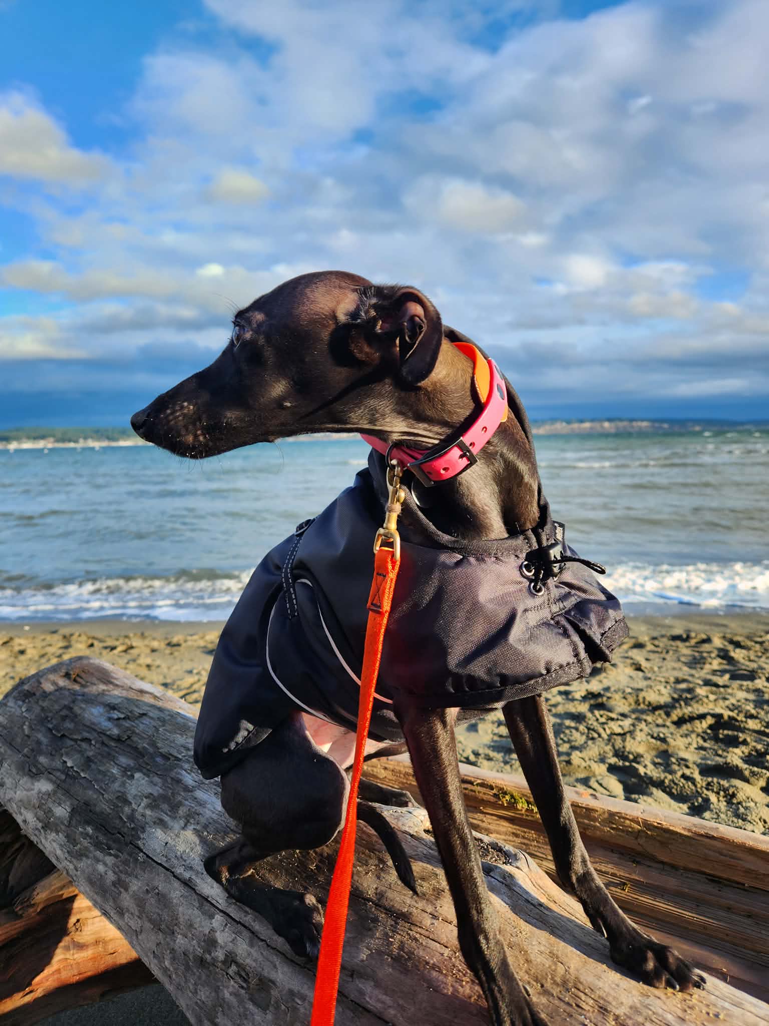 0e3ac470-b40f-44cc-98cd-af5ae23c5470