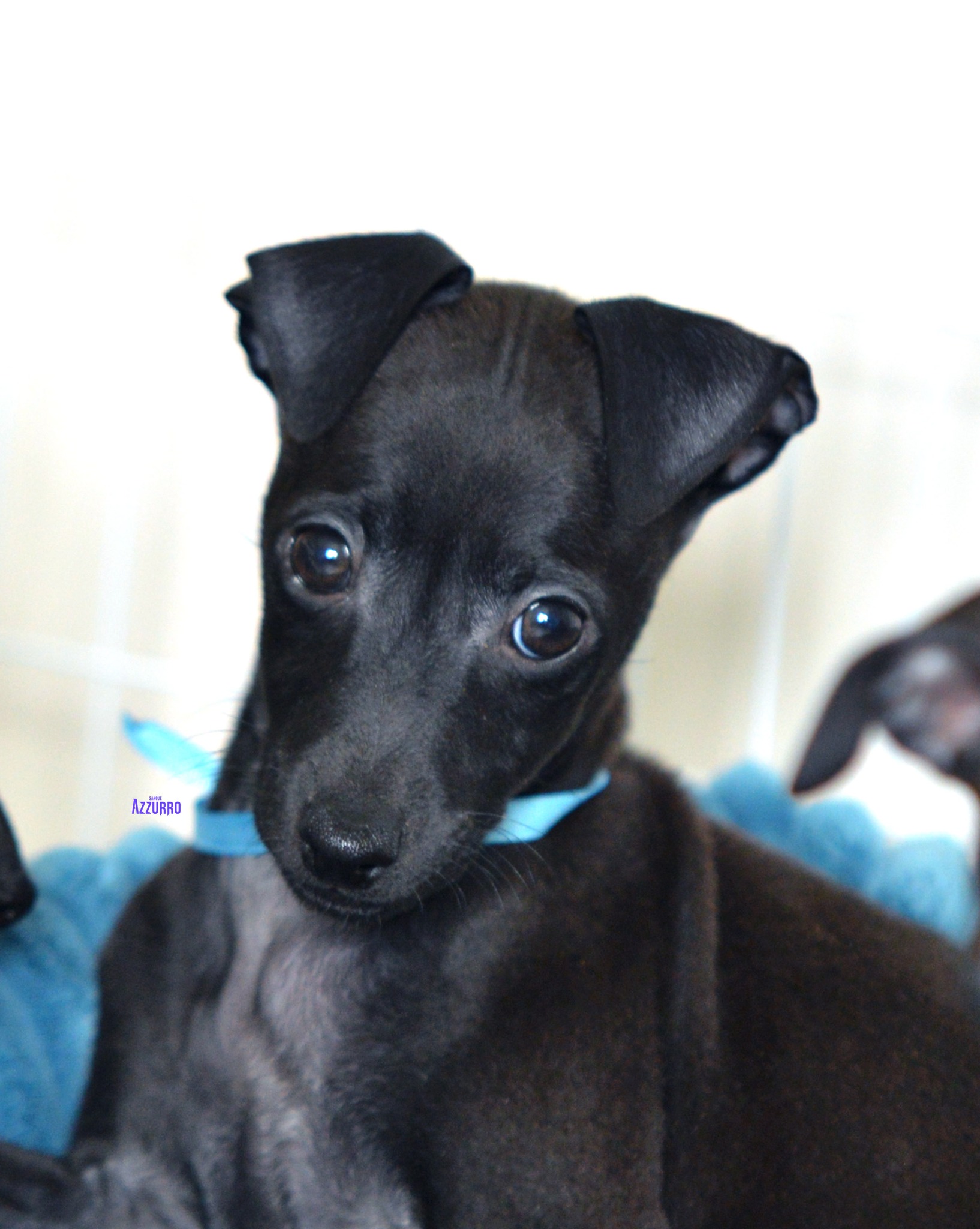 519491777_24206228125706186_3748270494691998903_n