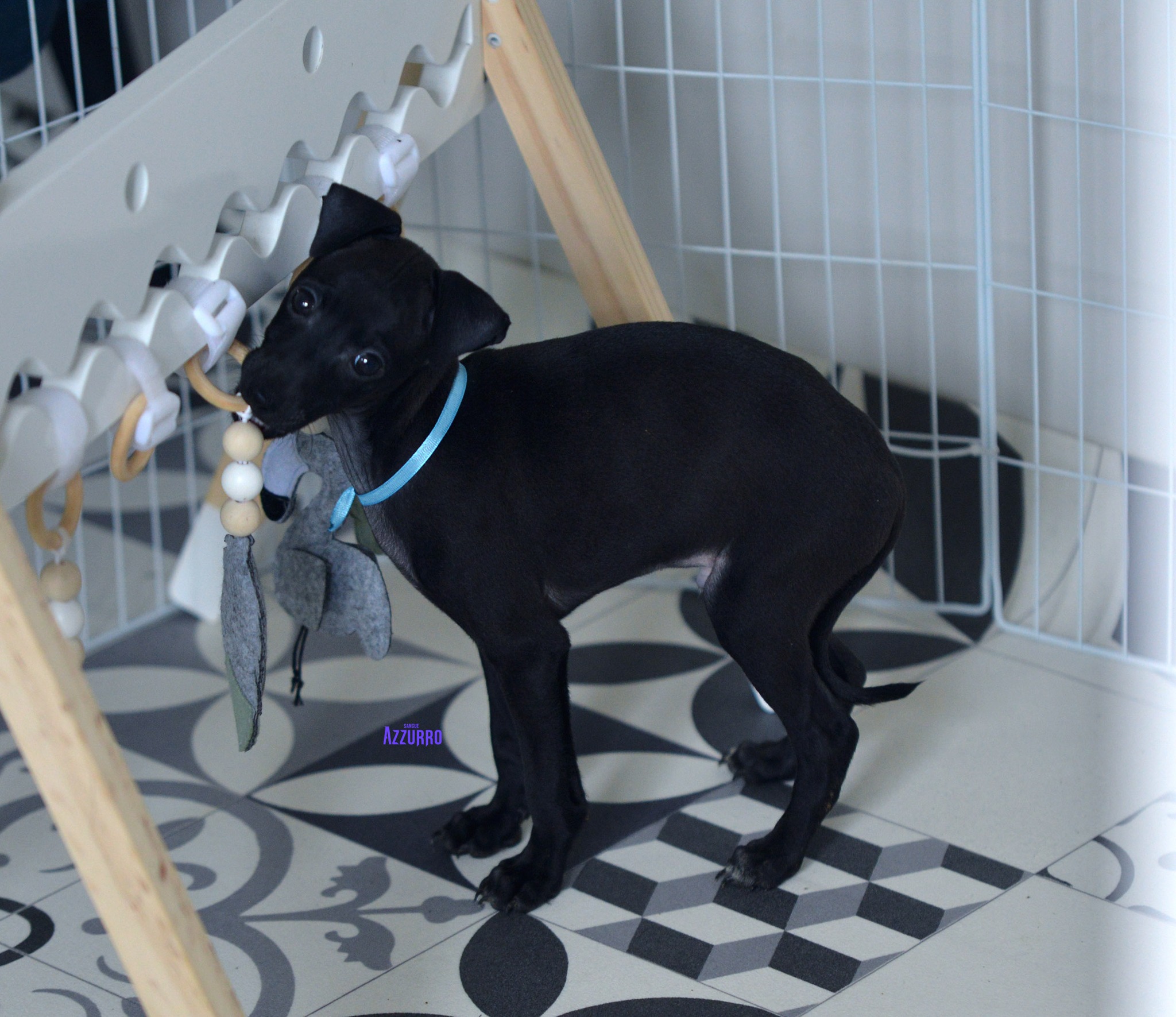 519965998_24206267032368962_9185119691687123307_n