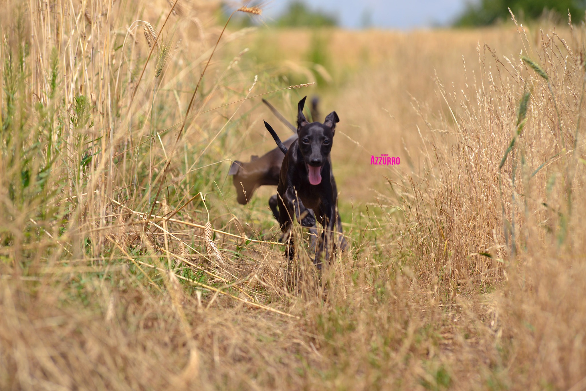 523430370_24268959066099758_2636030072493601464_n