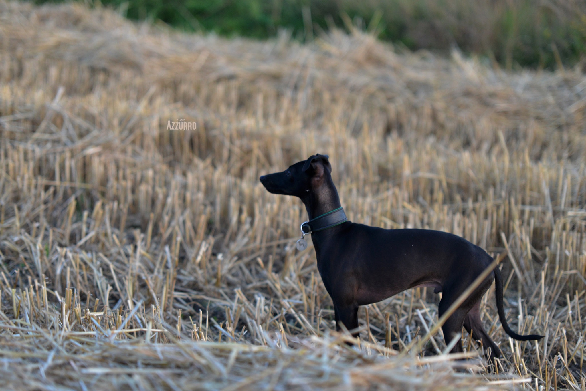 545838148_24665182796477381_3087960116702718107_n